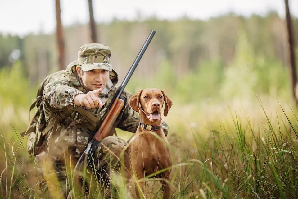 assurance chasse