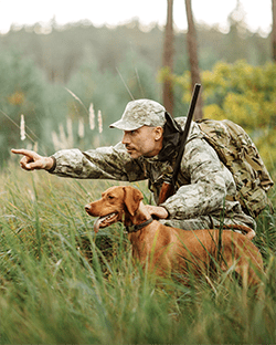 assurance chasse